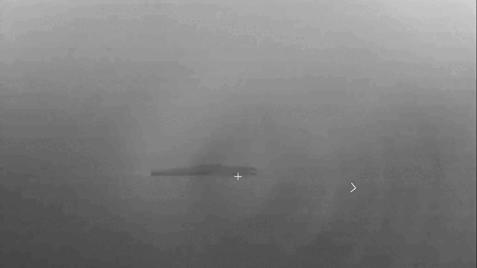    Видео удара по острову Змеиный