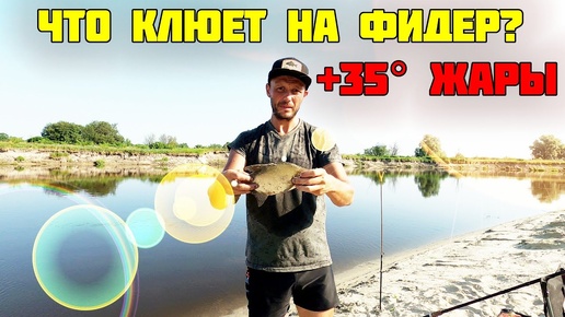 Фидер в 35 градусную жару! Такого клева, я не ожидал!