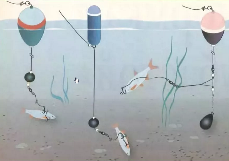 Фото с сайта: https://blogdlarybaka.ru