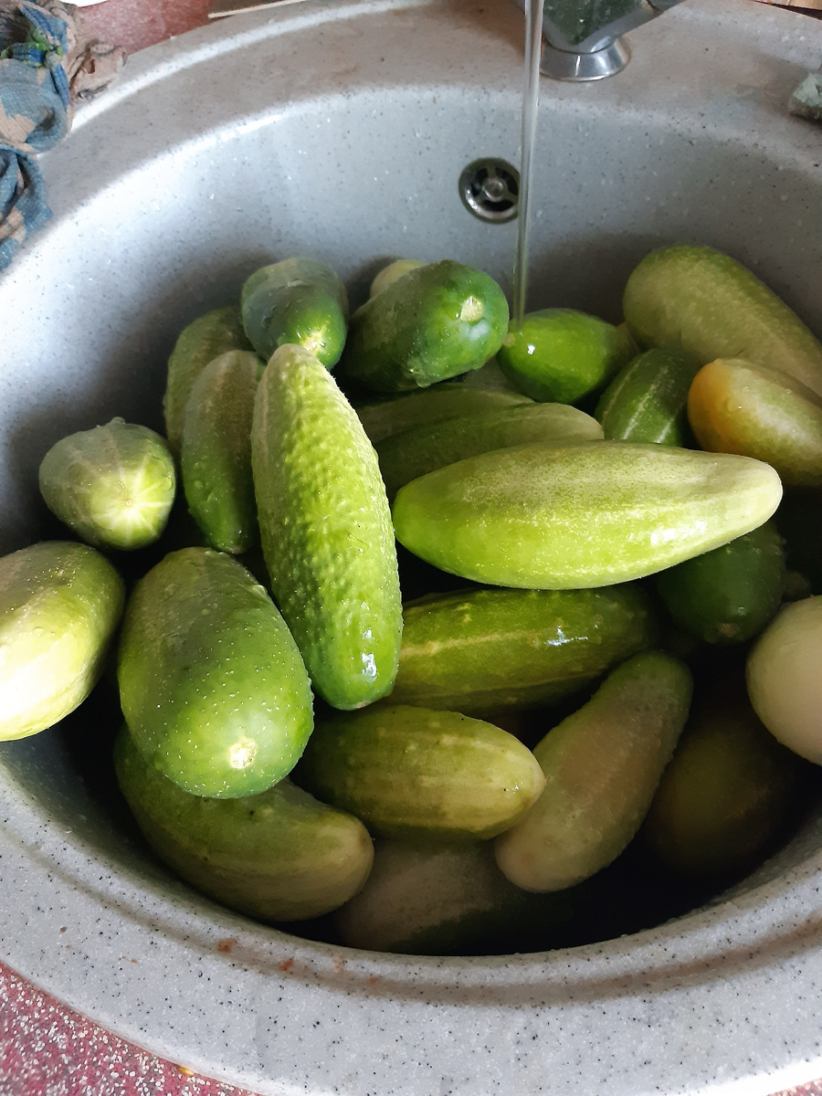 Засолила 5 банок. На солянку и такие подойдут