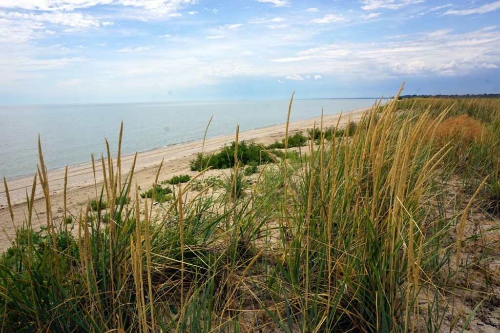 Фото Сергея Авдеенко (priazovstep.ru)