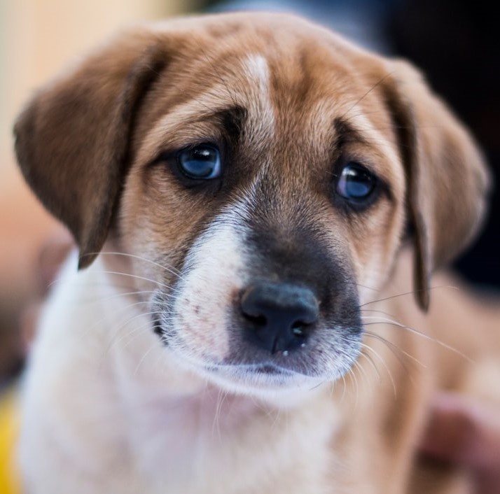 Не оставляй меня одного!!
