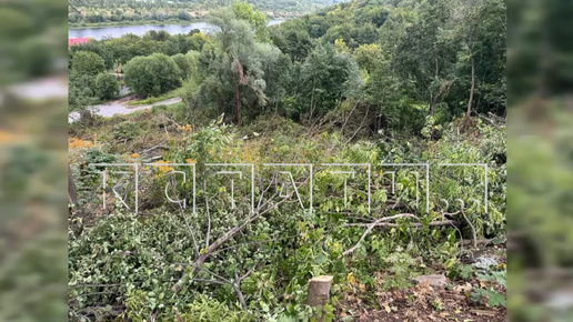 Владелец элитной земли, ради красивого вида из окна, вырубил сотни деревьев на склоне Волги в центре Нижнего Новгорода