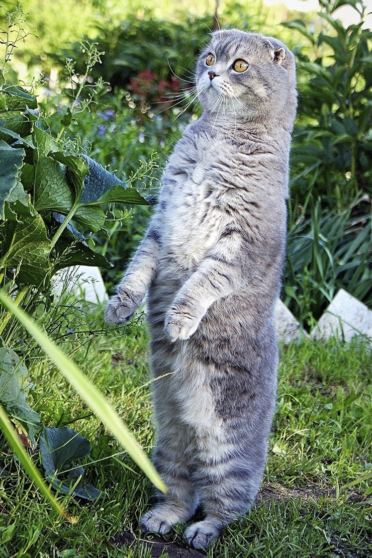 Фото из Интернета.