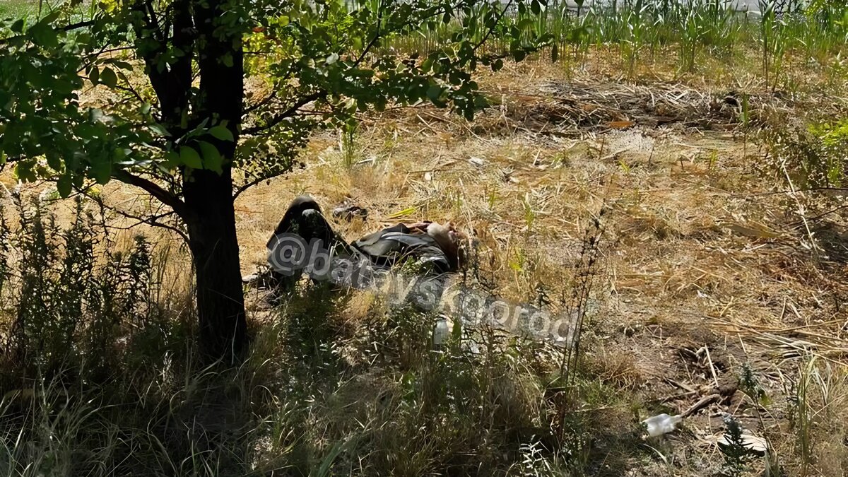     Источник: Telegram-канал «Батайск город»