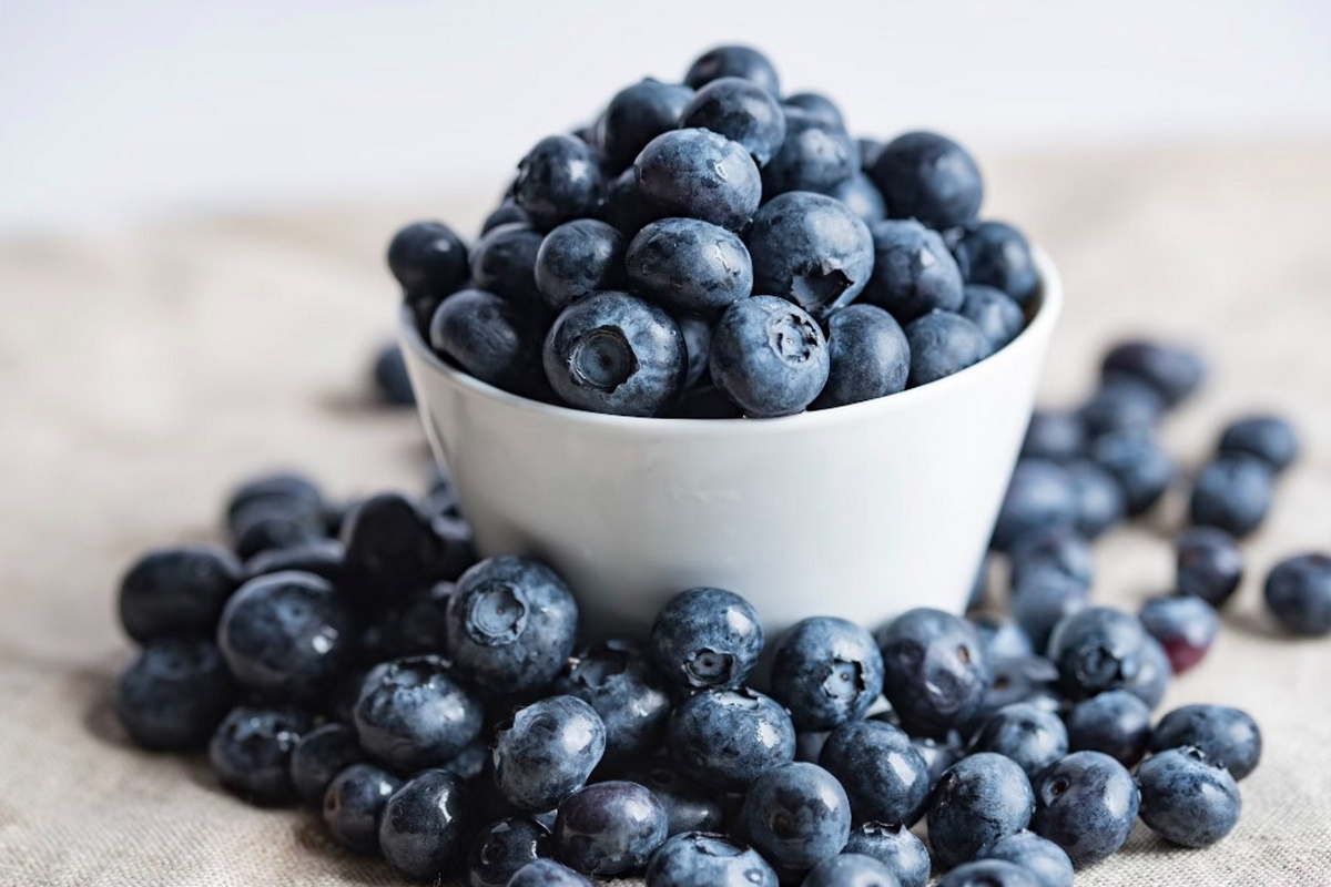     Три хитрости: что нужно сделать, чтобы собирать голубику вёдрами