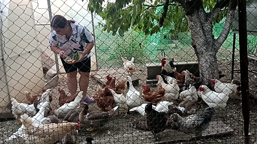 Приезжали дети. Творожная запеканка с карамельной грушей. Идеальный арбуз.