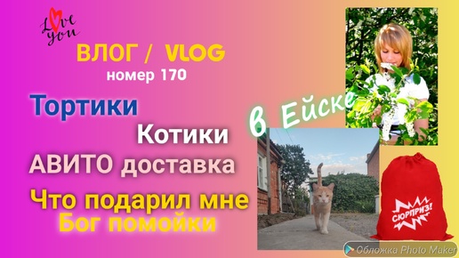 Ейск 🌹 Тортики 🍰 Котики 🐈 АВИТО доставка 🚚 Что подарил мне Бог помойки 🎁