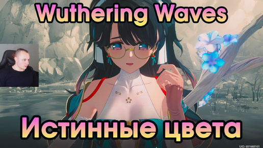 Wuthering Waves ➤ Истинные цвета ➤ True Colors ➤ Миссия компаньона Чжечжи ➤ Прохождение игры Вузеринг вейвс ➤ WuWa ➤ ВУВА