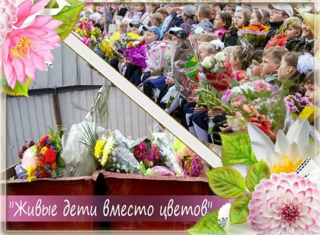 Фото взято из интернета.