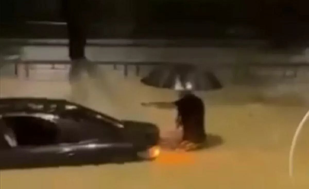 Скрин с видео. 