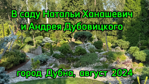 В саду Натальи Ханашевич и Андрея Дубовицкого. Город Дубна, август 2024