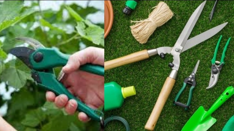 Набор инструментов для обрезки смородины