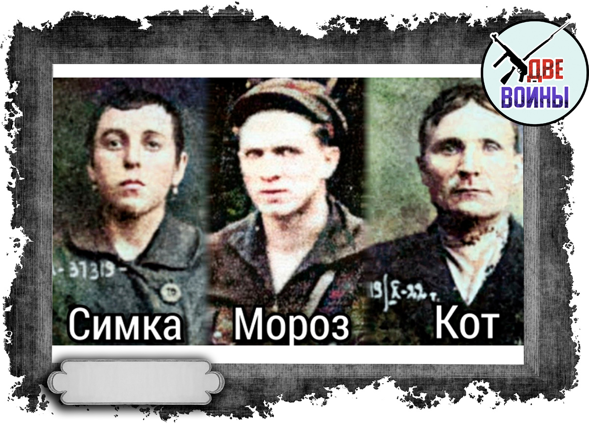 Фото в открытом доступе.