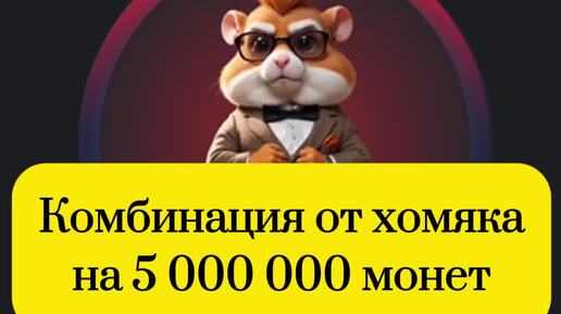 Хамстер комбо 19 августа