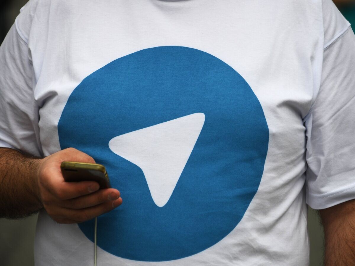    Участник митинга в поддержку мессенджера Telegram© РИА Новости / Григорий Сысоев