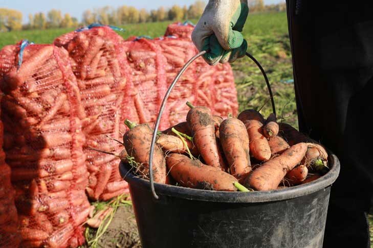    фото Алексея Танюшина