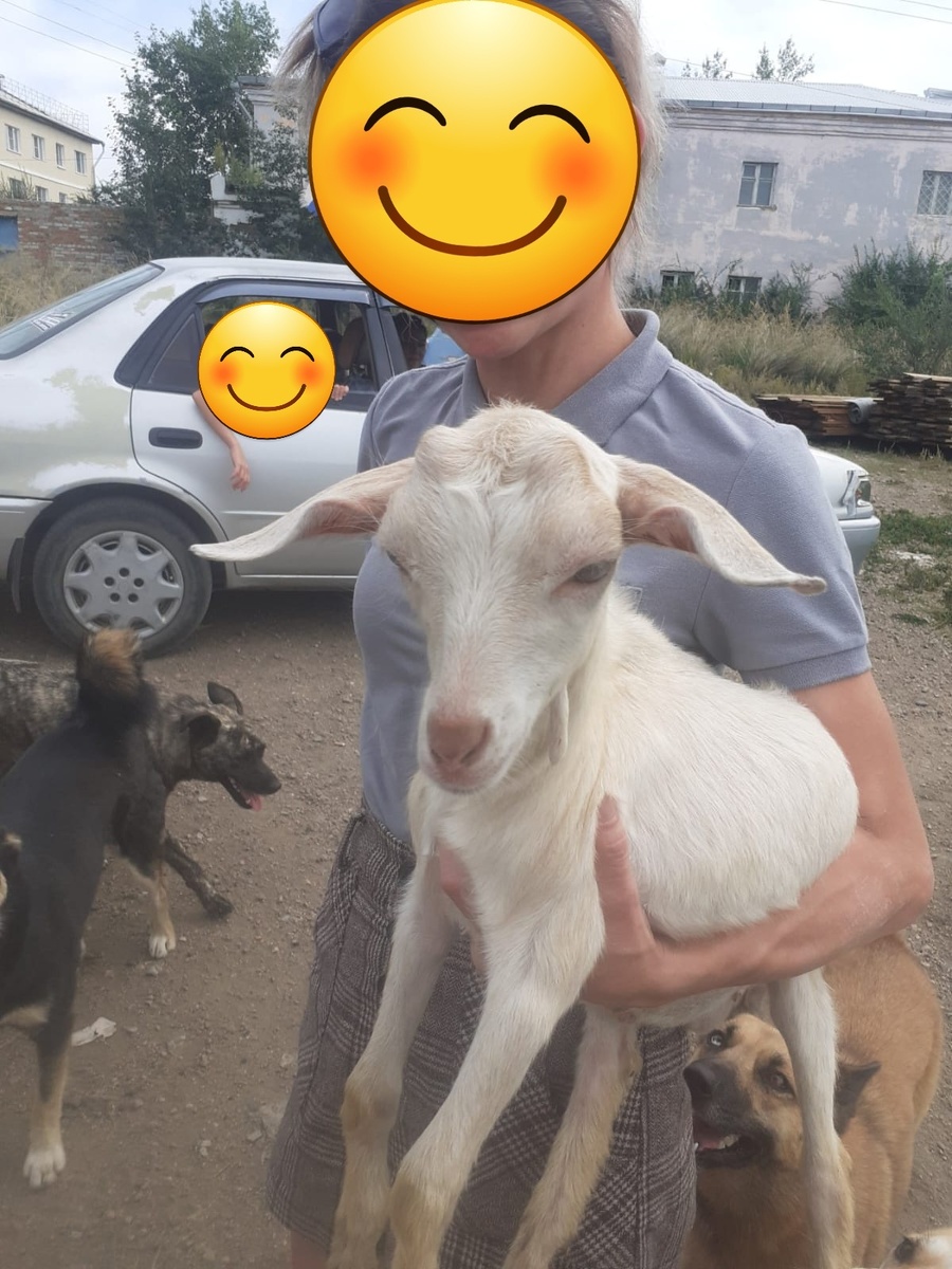 Взяли хорошие люди. Не на еду. 