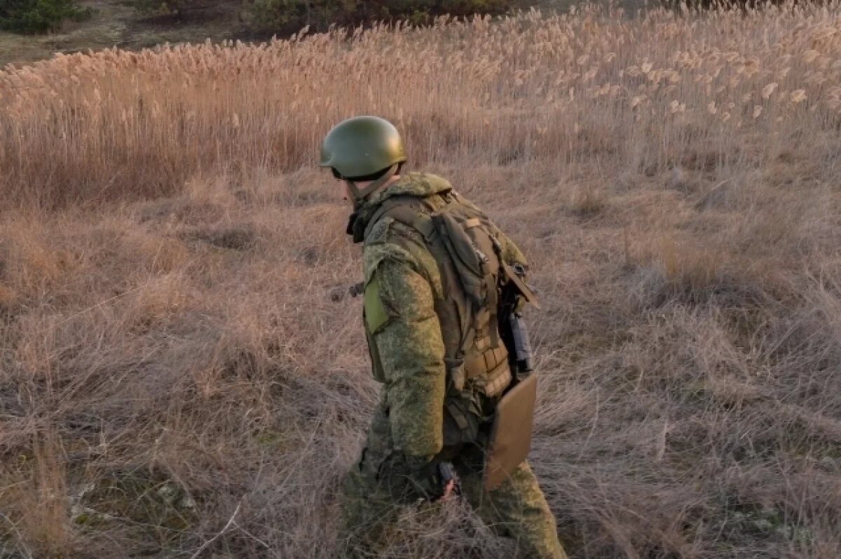    ВС РФ уничтожили польских наемников на Кинбурнской косе