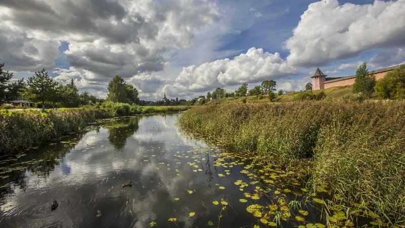 Фото: @wirestock / ru.freepik.com