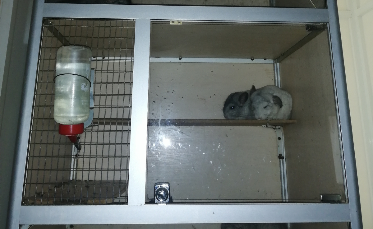 отделение витрины из алюминевого профиля и мдф для пары шиншилл с 2мя полками