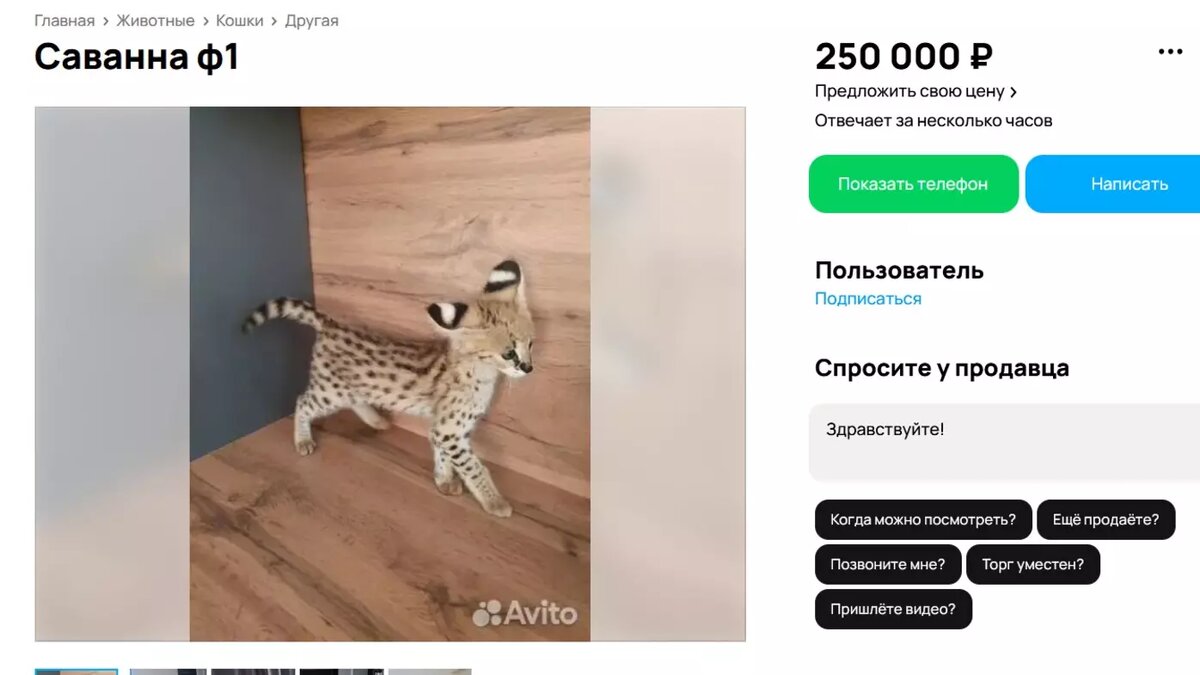 Листайте вправо, чтобы увидеть больше изображений