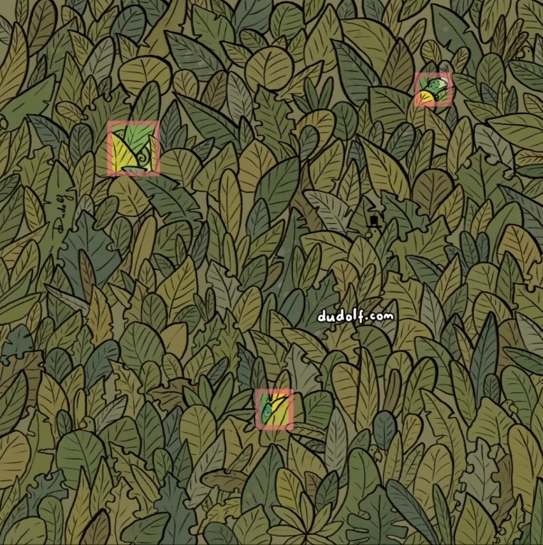 Источник: dudolf.com