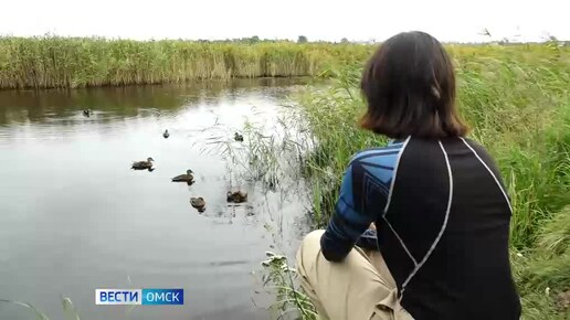 В природном парке 