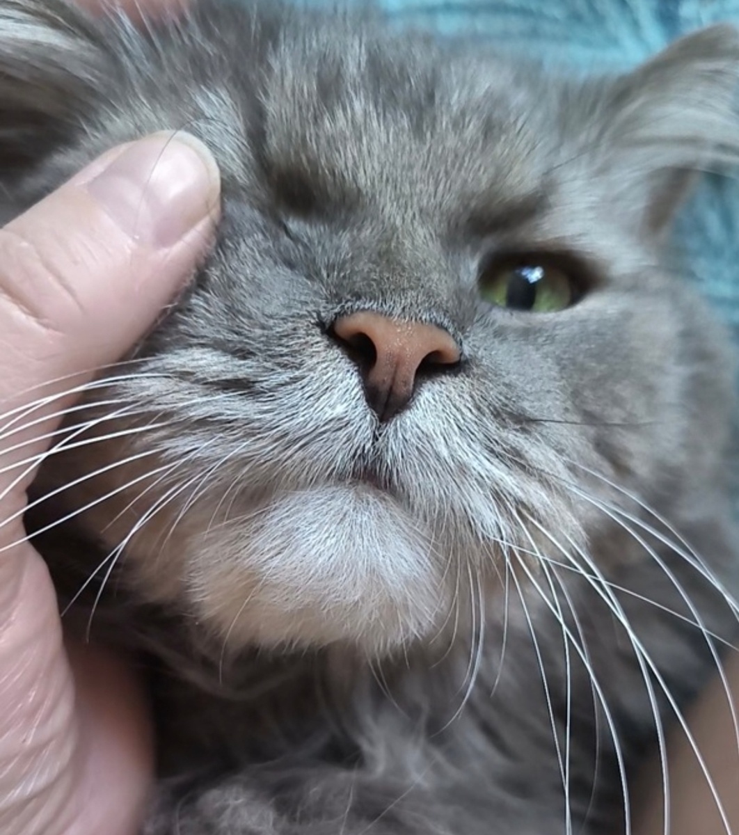 Всё фотографии в статье авторские. Будильник - Марс. 