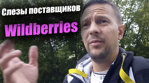 Слезы поставщиков Wildberries / товарный бизнес на маркетплейсах