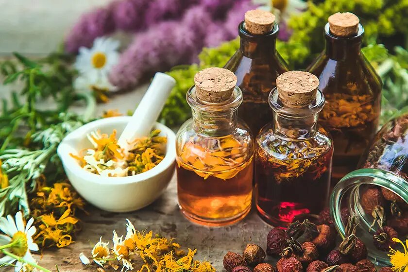 Очищение и омоложение организма может быть не только эффективным, но и не дорогим: Панчакарма в Керале