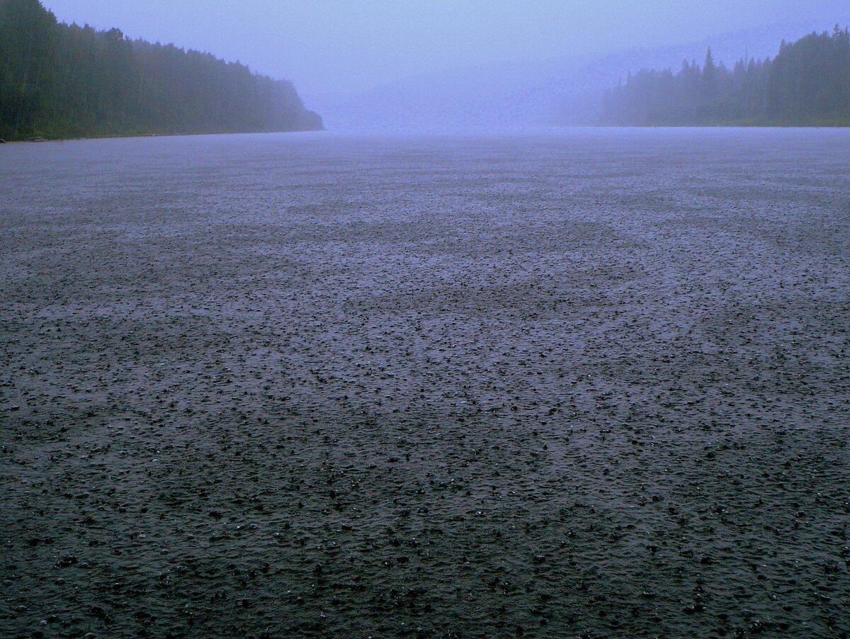 Фото Александра Чернова