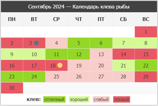 Клев и бесклевие – радость побед и объяснение неудач | Рыбалка с trinniti.ru! | Дзен