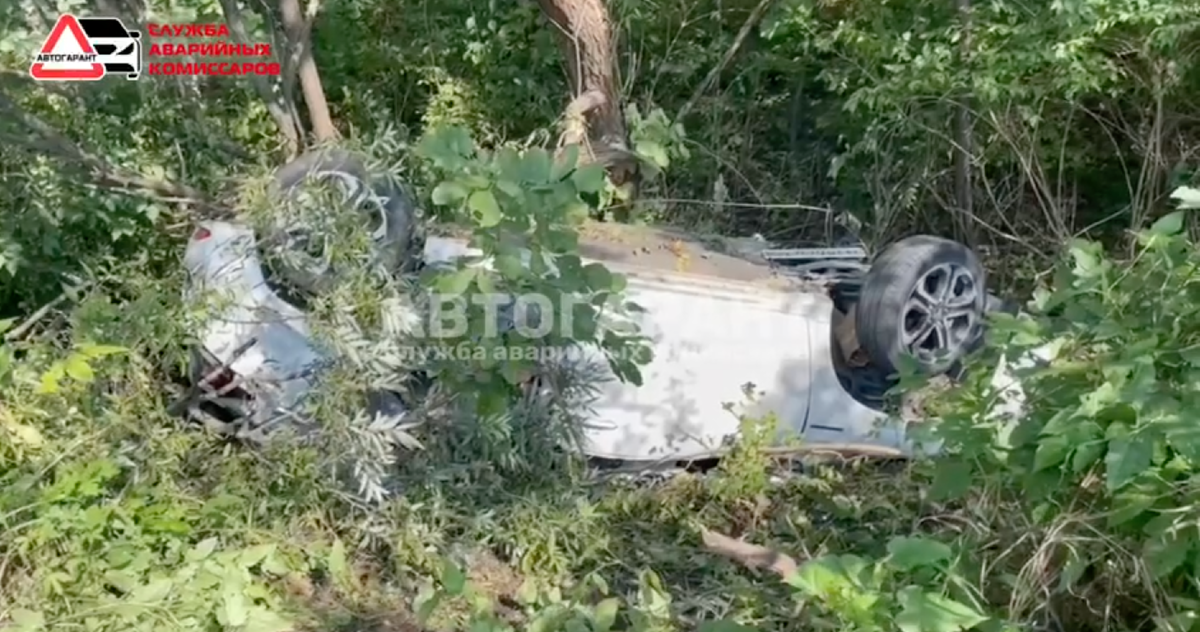 Фото: тг-канал "Автогарант"