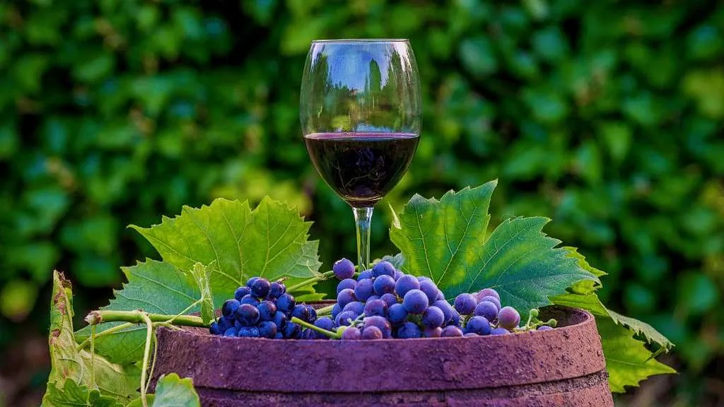Иллюстрация: handywineguide.com