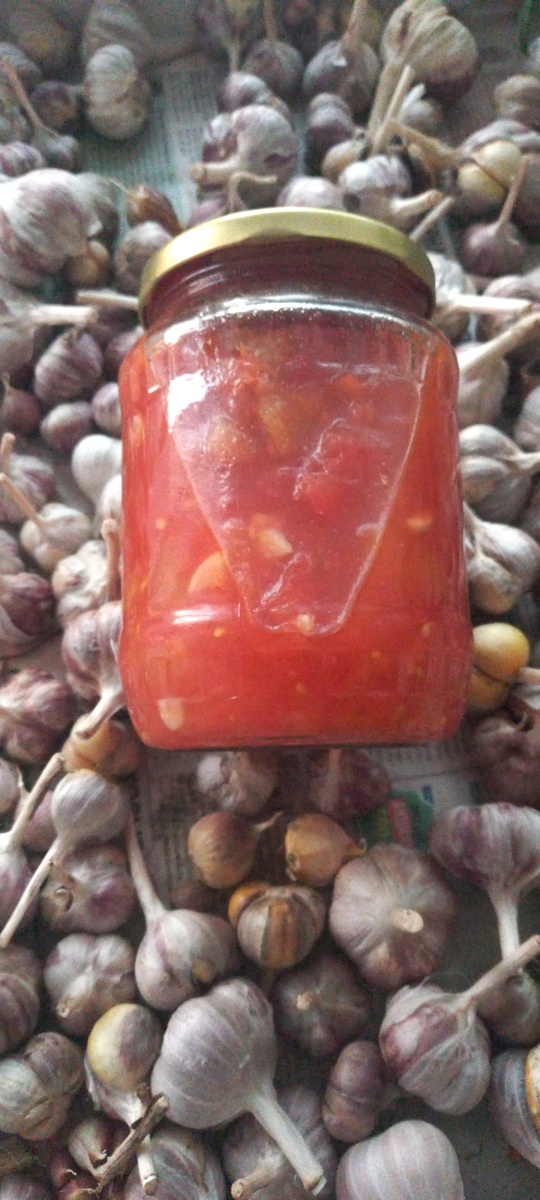 Зима будет насыщенной.