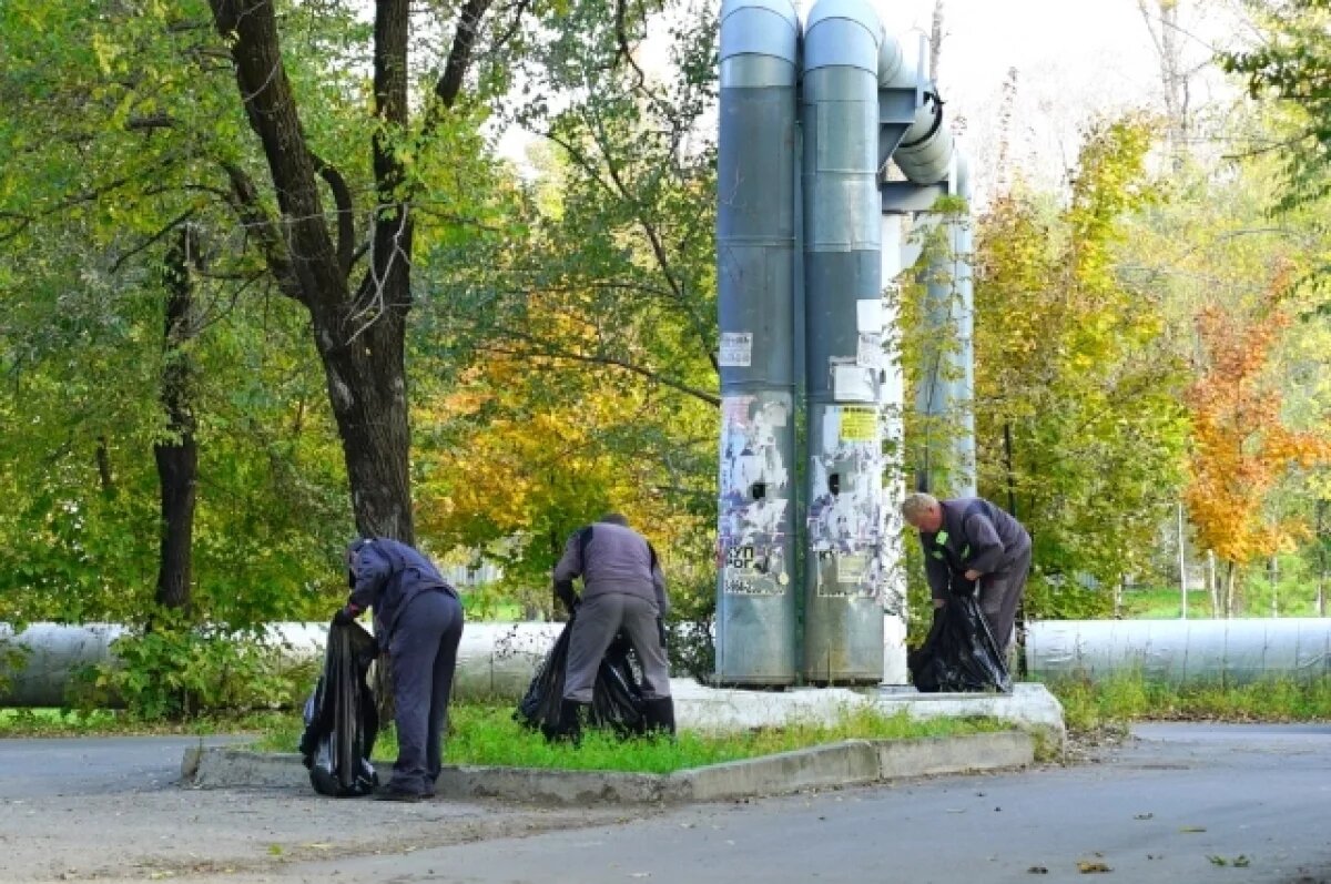    20 тысяч человек примут участие в месячнике чистоты в Хабаровске