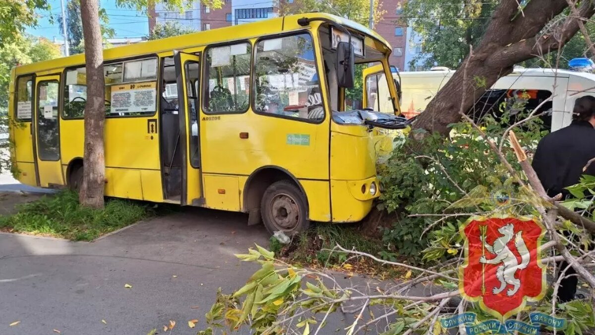     Источник: ГИБДД Свердловской области