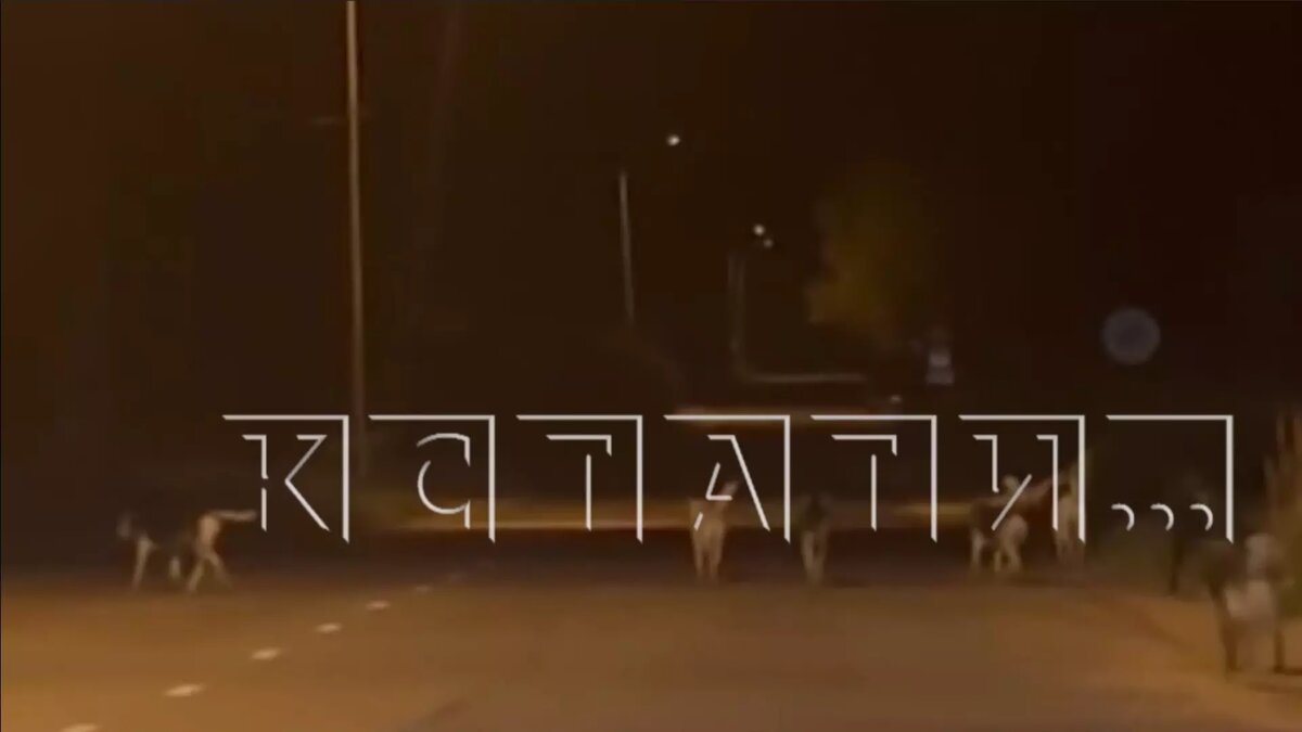     Источник: «Кстати»