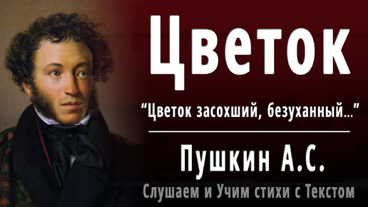 А.С. Пушкин - Цветок (Цветок засохший, безуханный...) - Слушаем аудио стихи с текстом