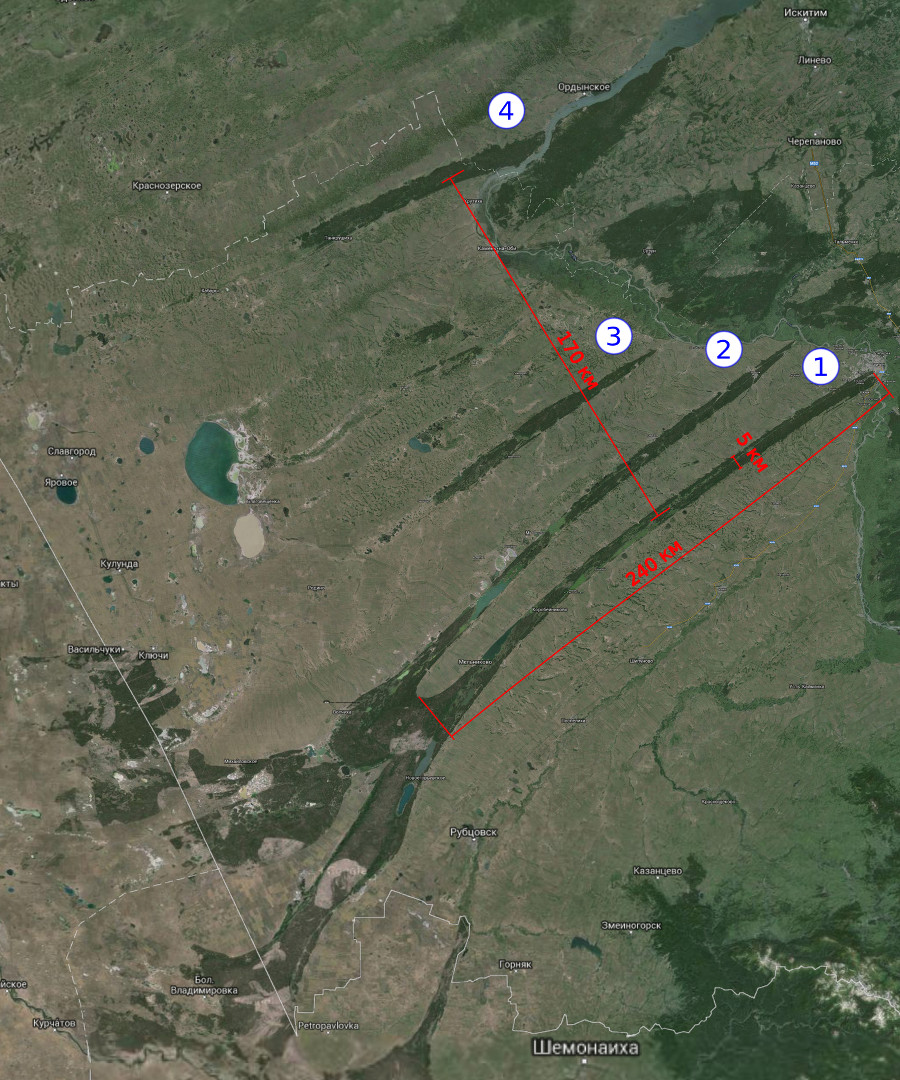 По мнению альтернативщика вот эти участки реликтовых боров произрастают на месте падения метеоритов, а вот где кратеры от падения он почему то не сказал