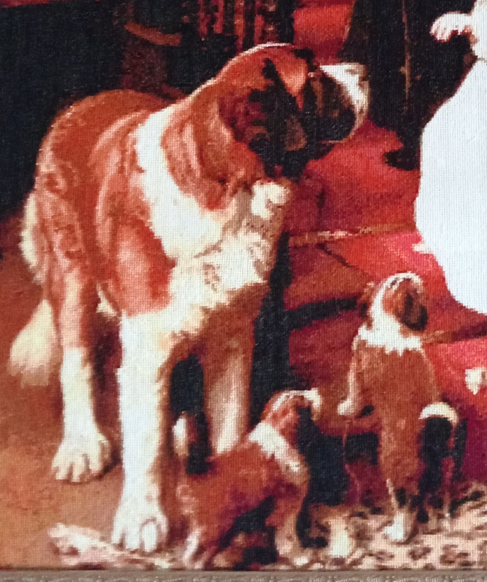 Фото автора.