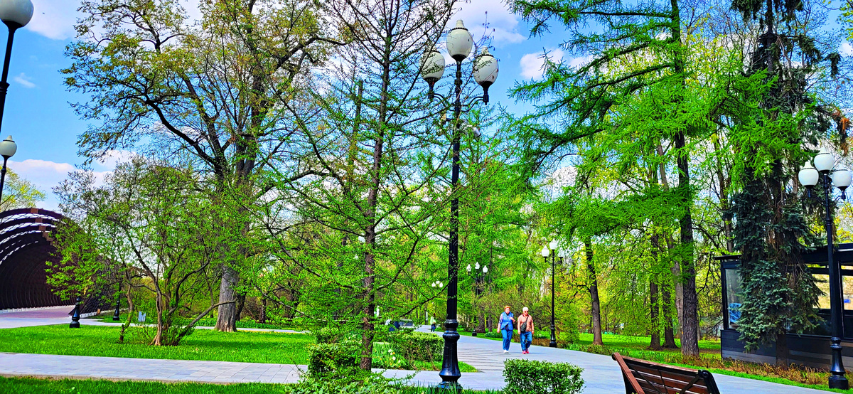 Фото принадлежит автору канала. Оно не имеет непосредственного отношения к повествованию.