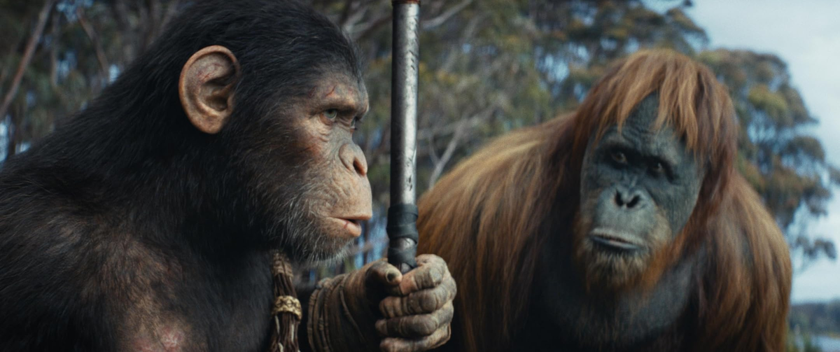 Kingdom of the Planet of the Apes