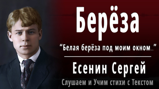 Сергей Есенин - Берёза (Белая берёза под моим окном...) - Слушаем аудио стихи с текстом