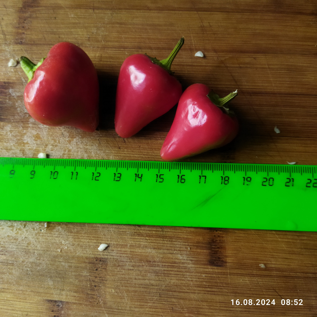 Первый поспевший на кусту перчик был 21 июля!