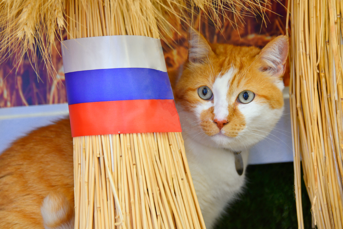 Приглашаю вас на тайную дегустацию.