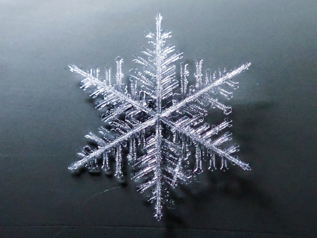 Снежинка. Жар-птица. Шестокрыл (шест с крыльями)