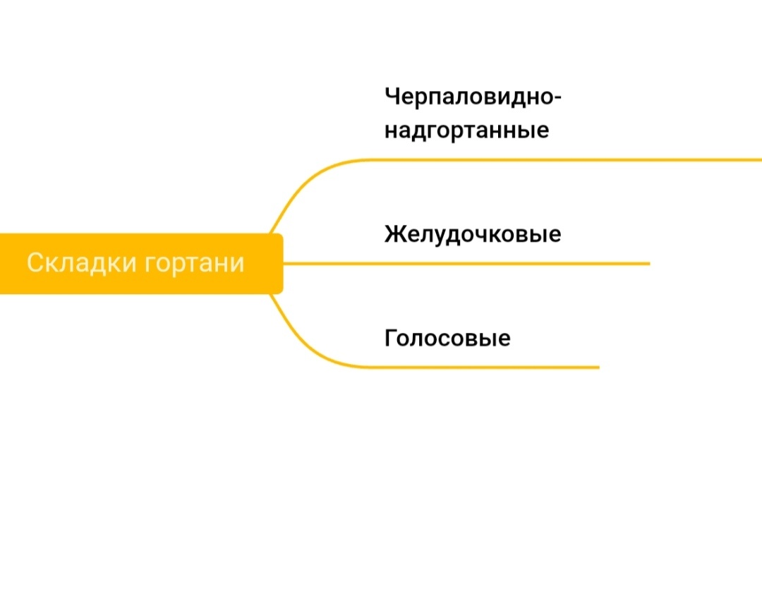 Желудочковые складки раньше называли "ложными голосовыми связками", а голосовые складки - "истинными голосовыми связками"