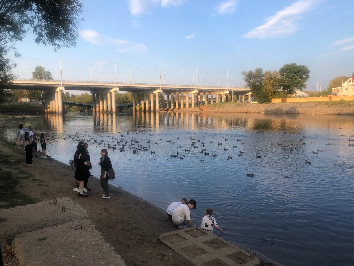 Утки и вид на мост